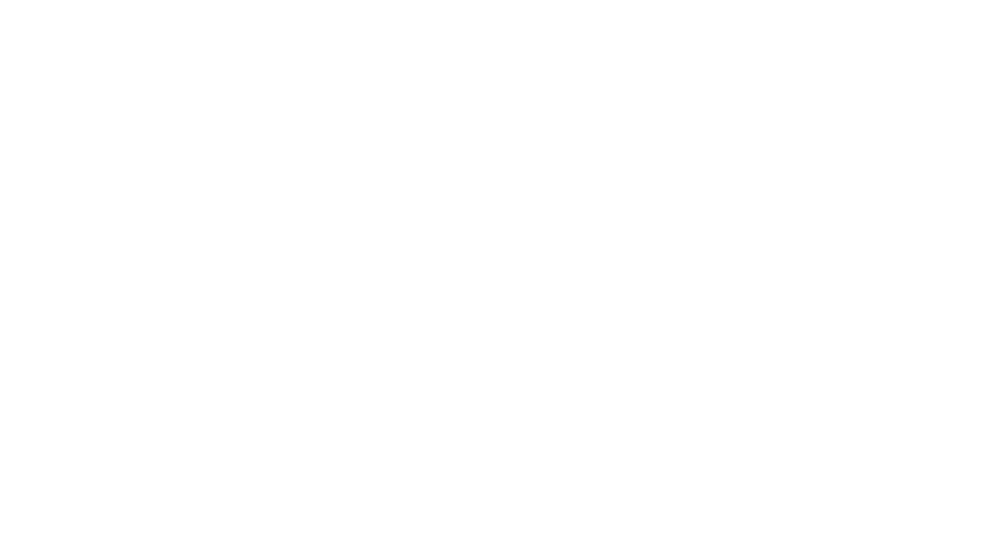 Briggs and Stratton
