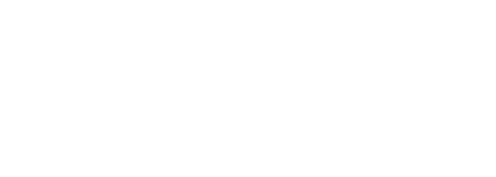 King Electric