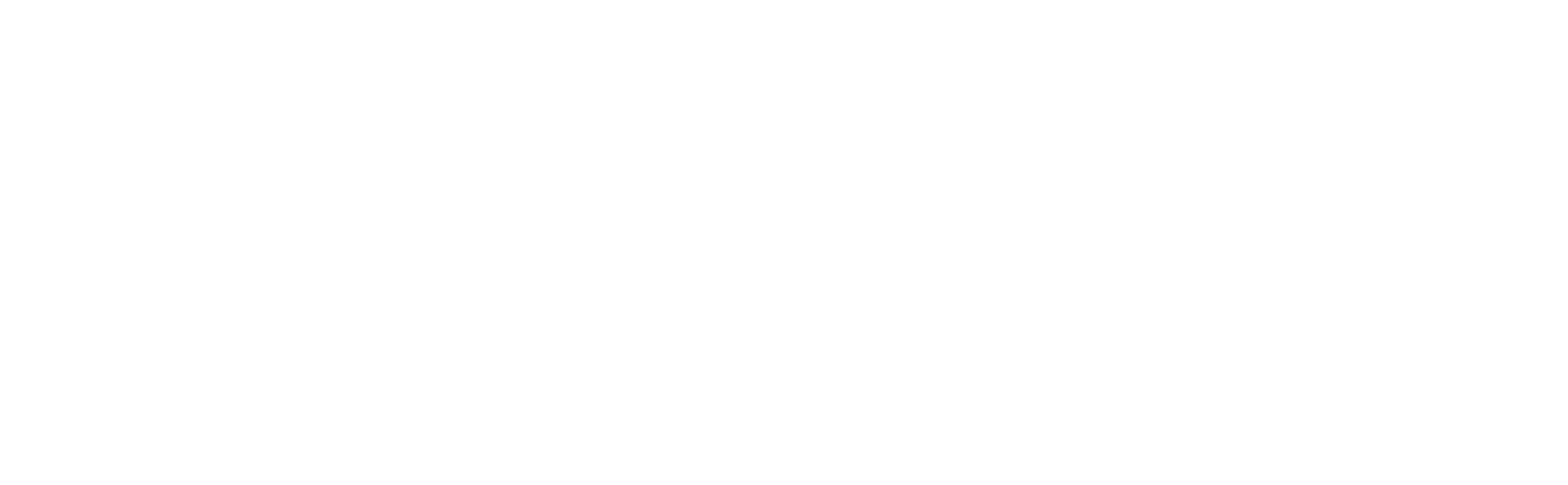 Roebic